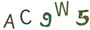 圖片的 CAPTCHA