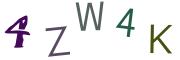 圖片的 CAPTCHA