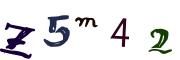 圖片的 CAPTCHA