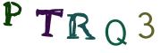 圖片的 CAPTCHA