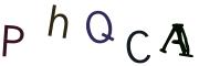 圖片的 CAPTCHA