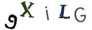 圖片的 CAPTCHA