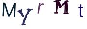 圖片的 CAPTCHA