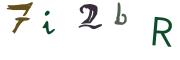 圖片的 CAPTCHA