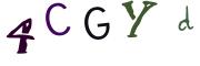 圖片的 CAPTCHA
