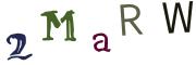 圖片的 CAPTCHA