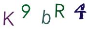 圖片的 CAPTCHA