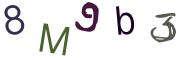 圖片的 CAPTCHA
