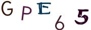 圖片的 CAPTCHA