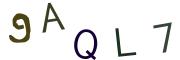 圖片的 CAPTCHA