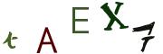 圖片的 CAPTCHA