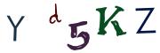 圖片的 CAPTCHA