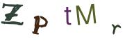 圖片的 CAPTCHA