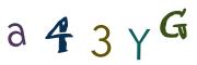 圖片的 CAPTCHA