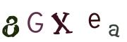 圖片的 CAPTCHA